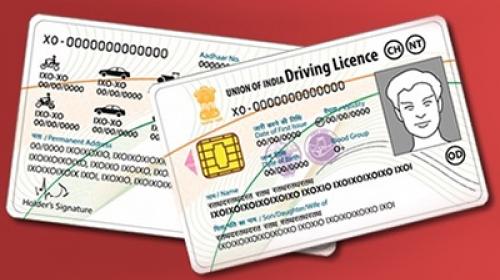 international driving permit